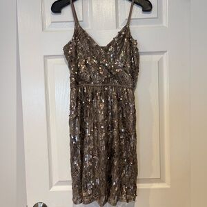 Express Sequin Lace V-Neck Dress in Taupe